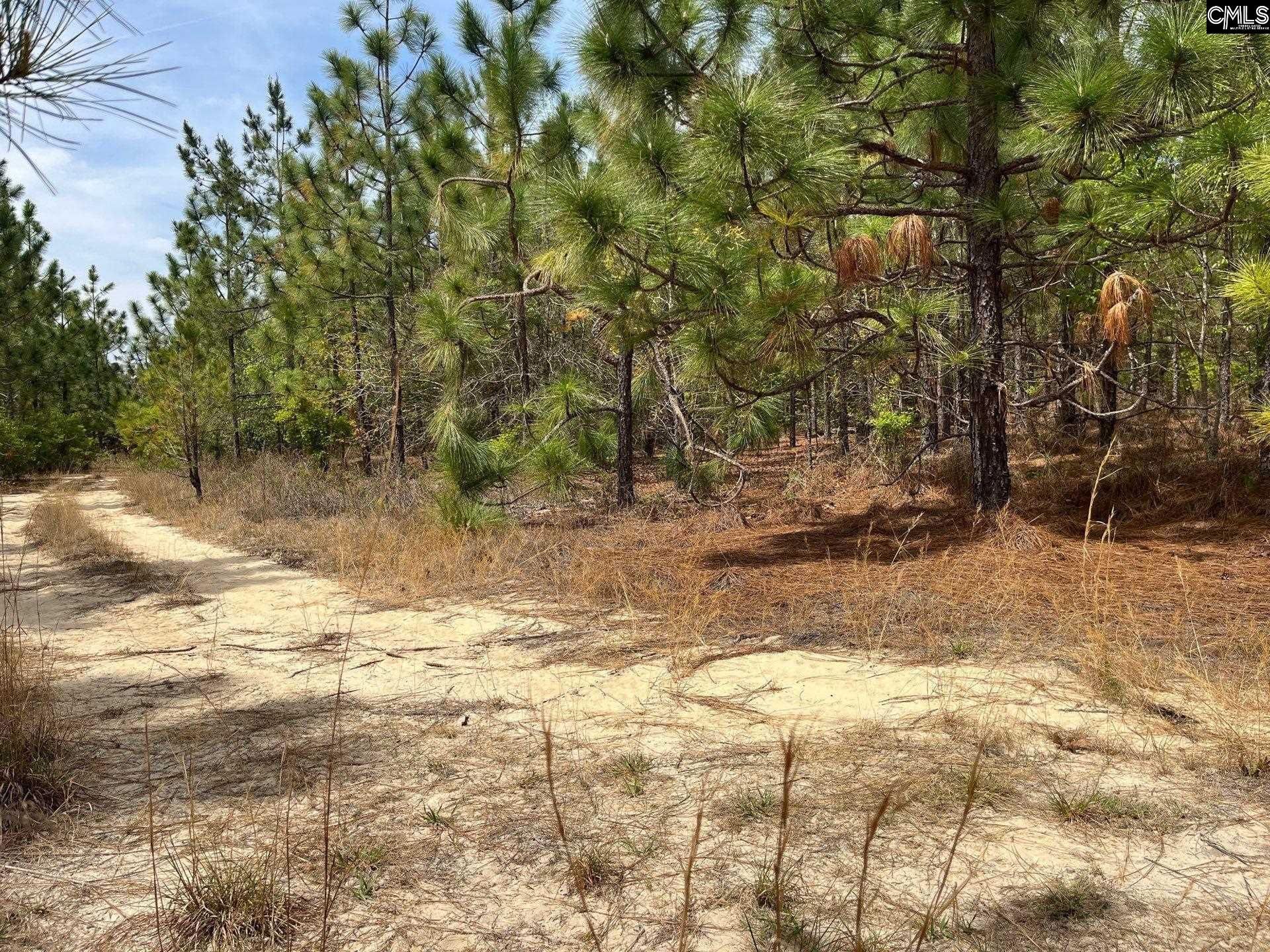 Bdf 9 Beaverdam Road  Photo 4