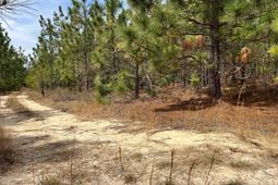 Bdf 9 Beaverdam Road  photo 4