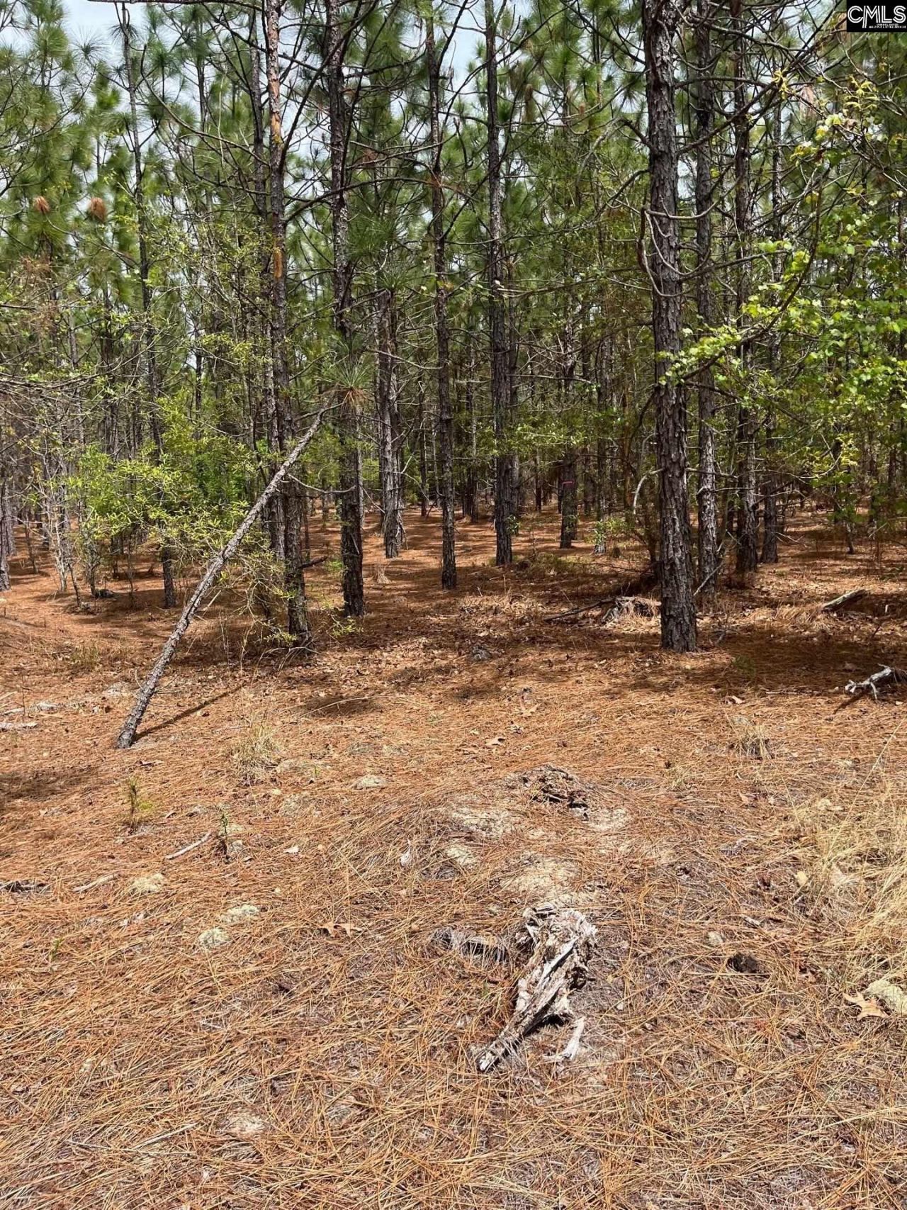 Bdf 9 Beaverdam Road  Photo 5