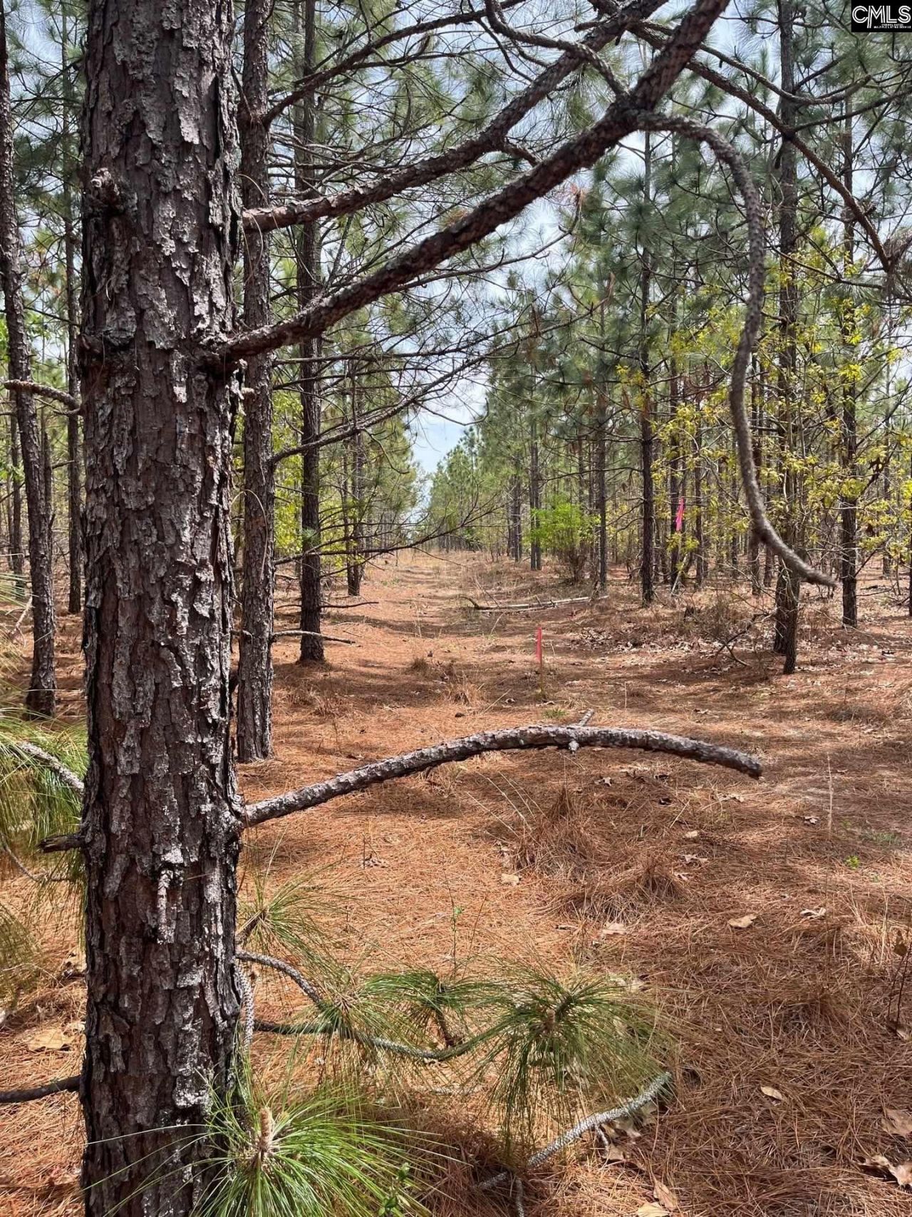 Bdf 9 Beaverdam Road  Photo 6