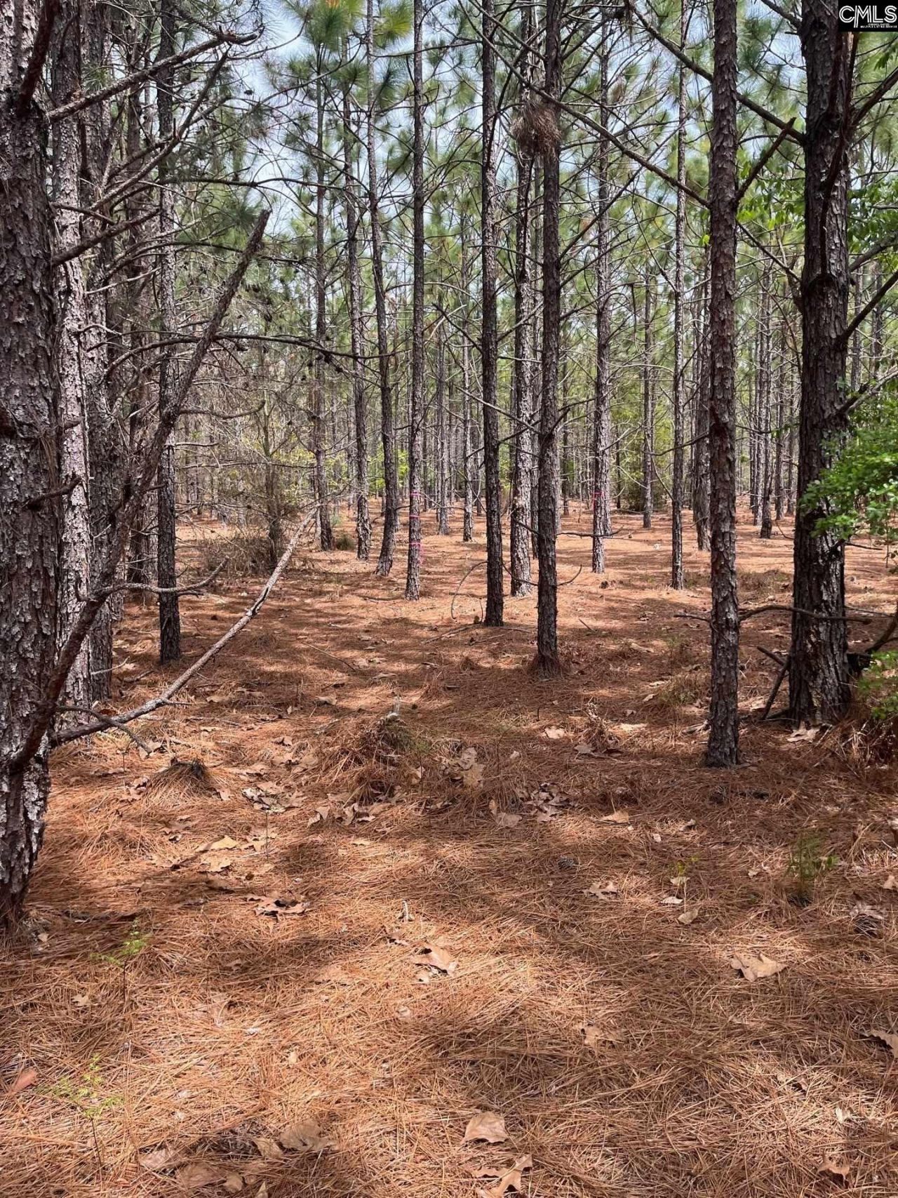 Bdf 9 Beaverdam Road  Photo 7