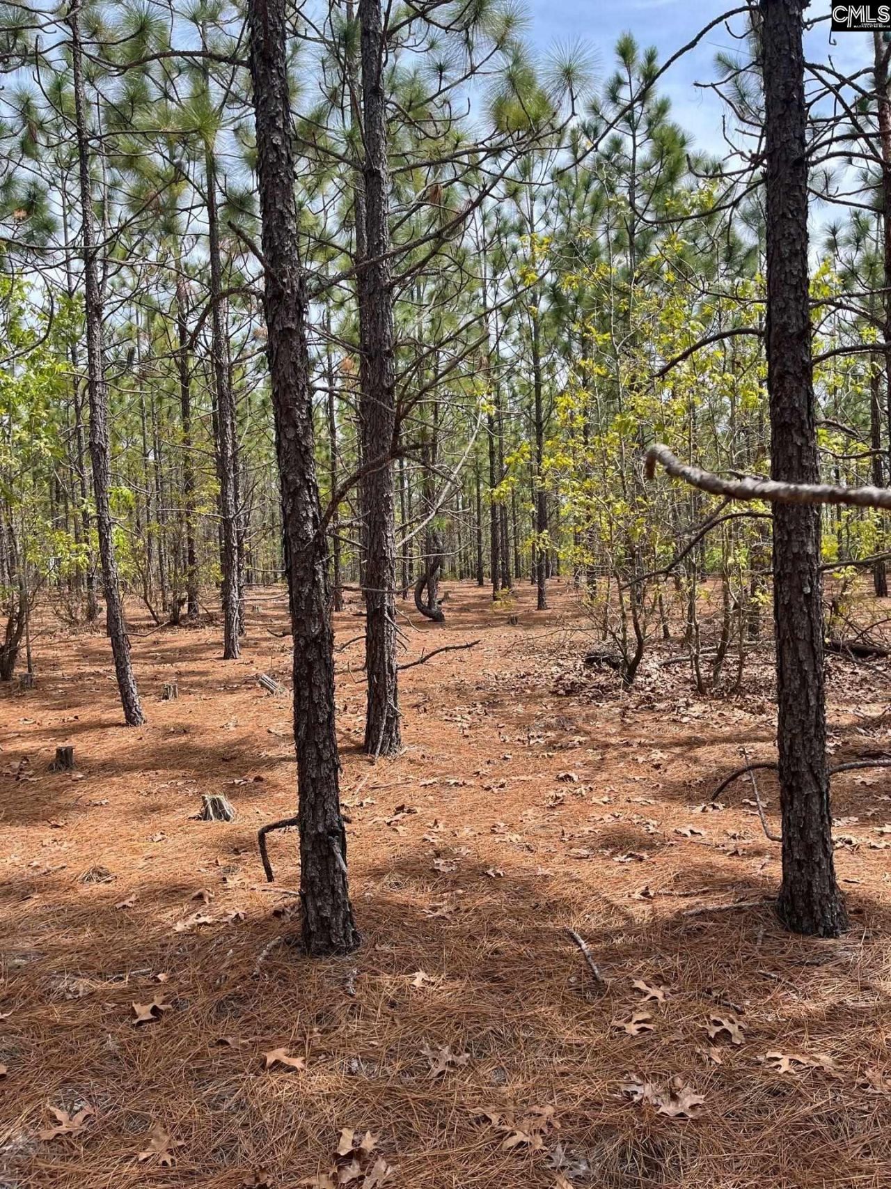 Bdf 9 Beaverdam Road  Photo 8