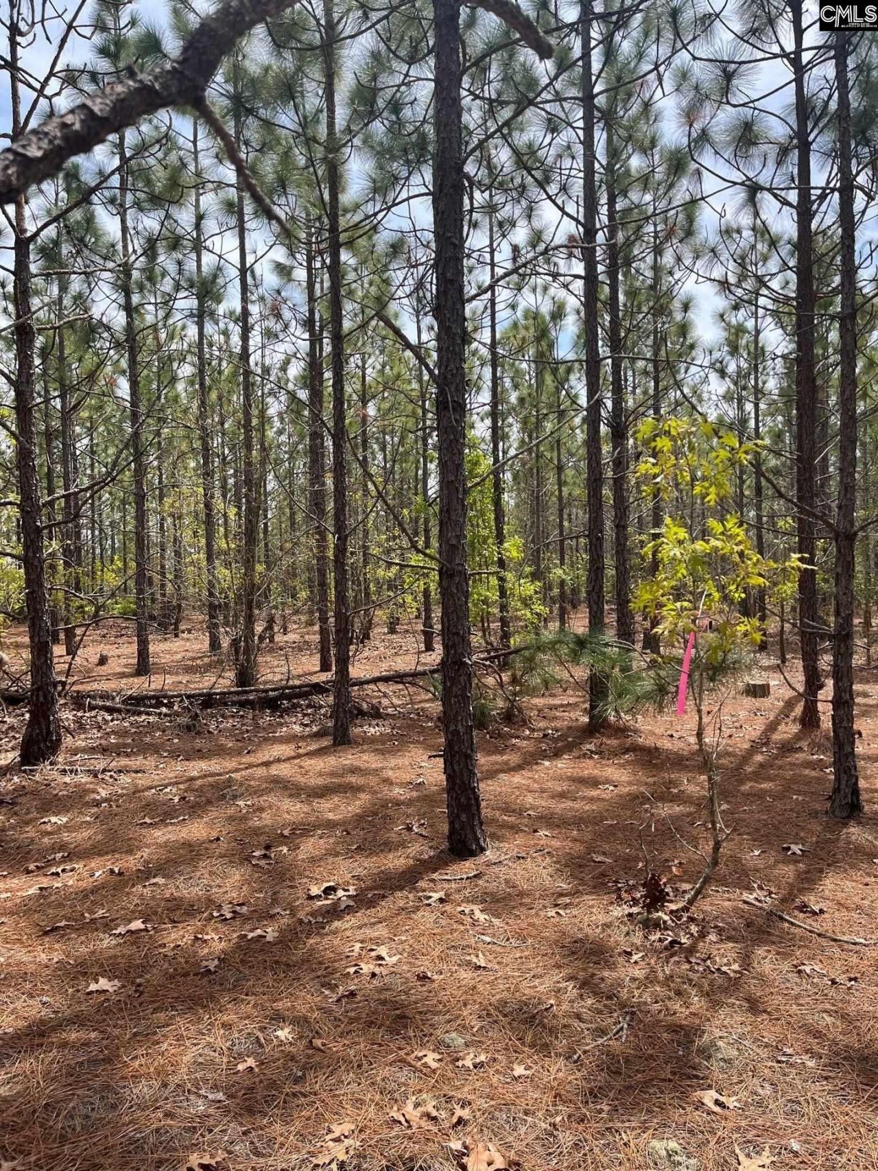 Bdf 9 Beaverdam Road  Photo 9