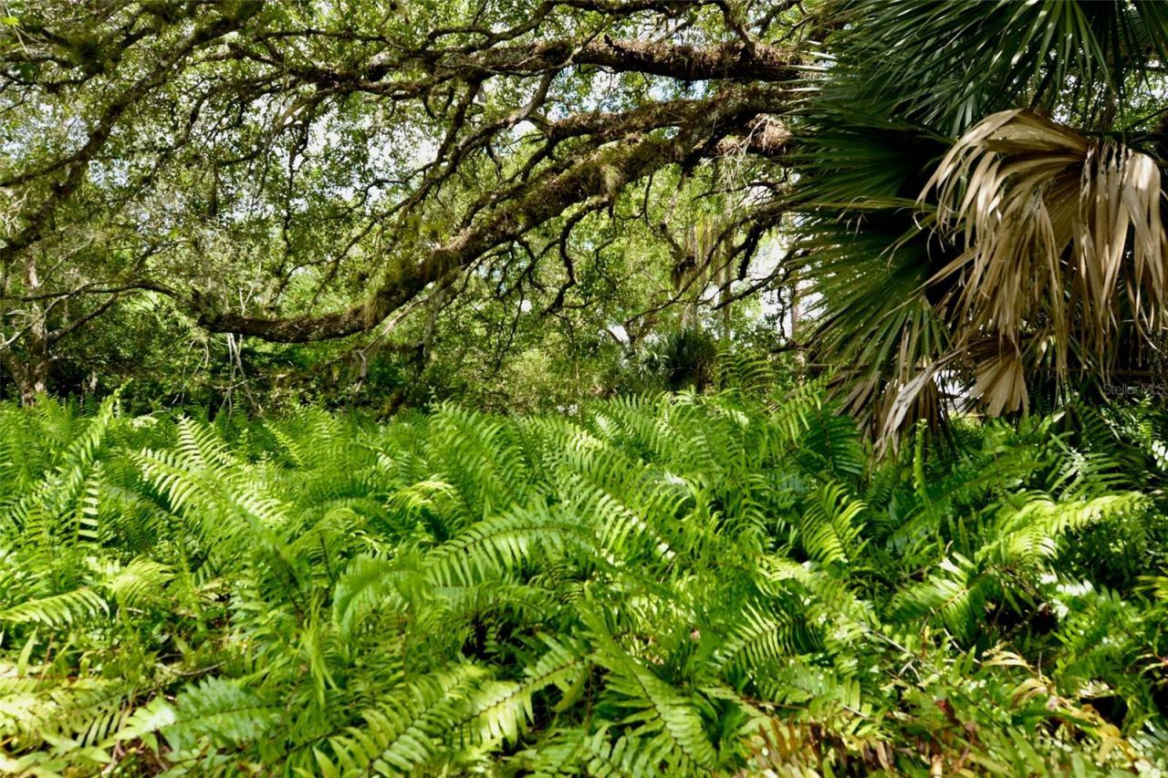 18220 Elmwood Drive , Alva, FL 33920 Photo