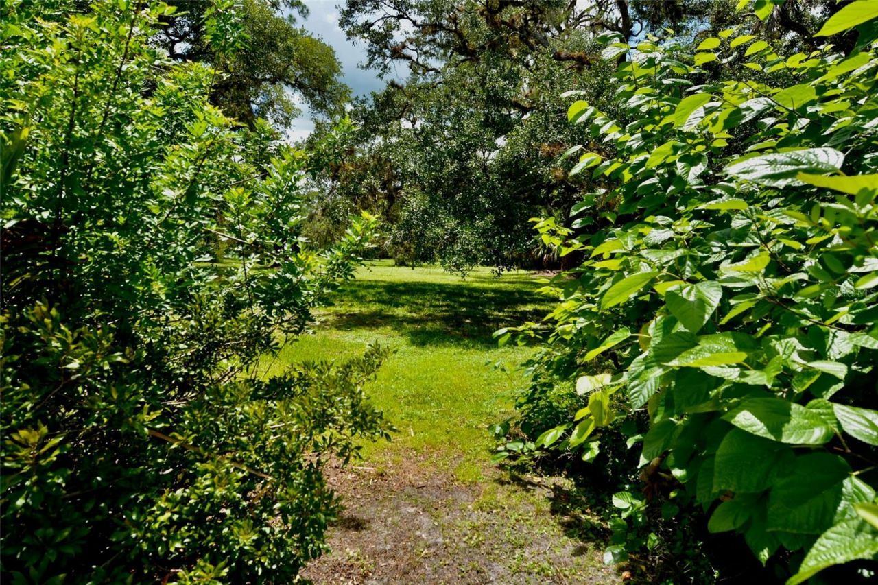 18220 Elmwood Drive , Alva, FL 33920 Photo