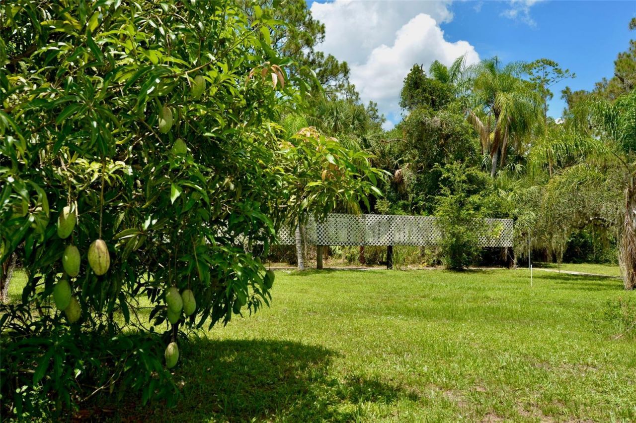 18220 Elmwood Drive, Alva, FL 33920 Photo