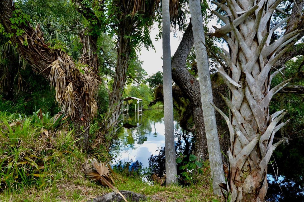 18220 Elmwood Drive , Alva, FL 33920 Photo