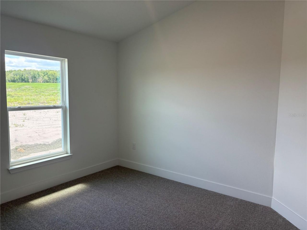 247 Verny Grove Lane, Leesburg, FL 34748 Photo