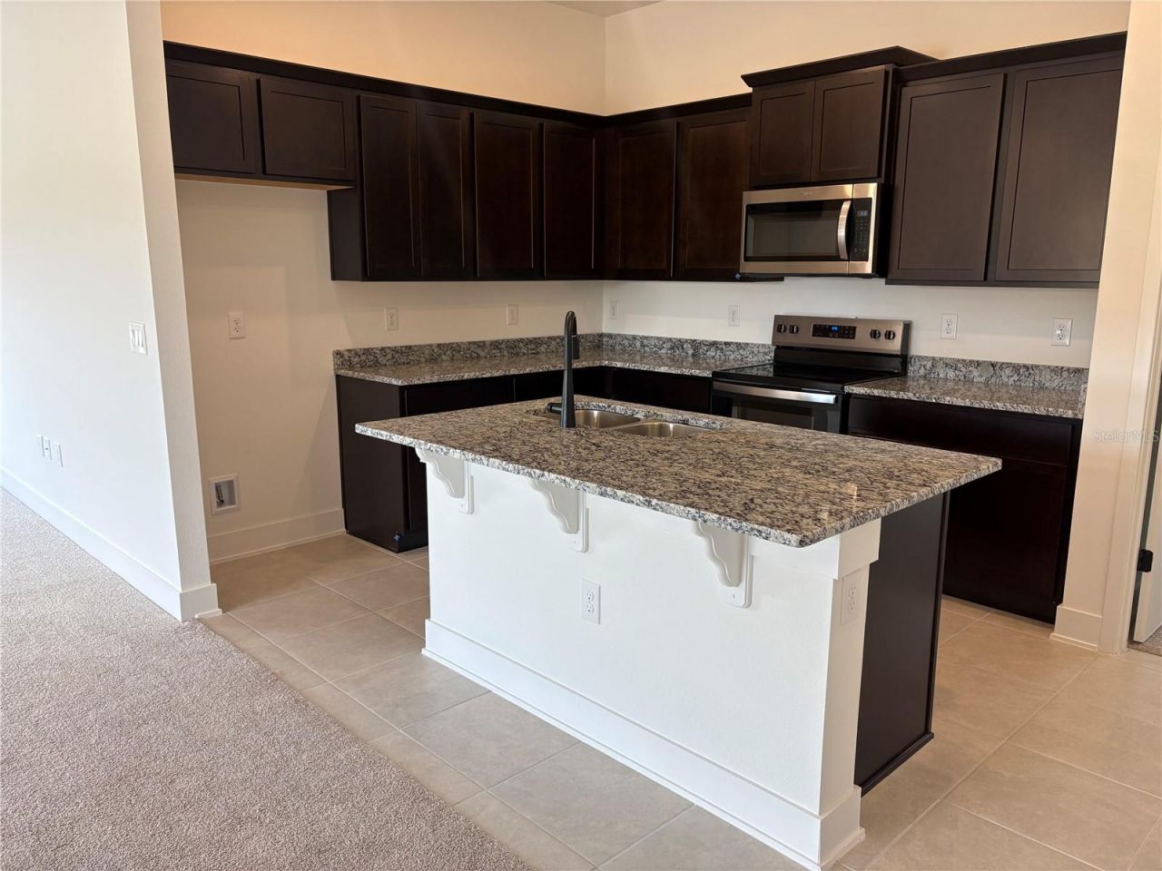247 Verny Grove Lane, Leesburg, FL 34748 Photo