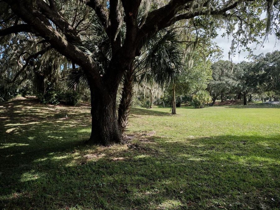 Property Image 62