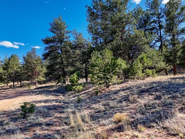L5124 Arikara Trail , Hartsel, CO 80449