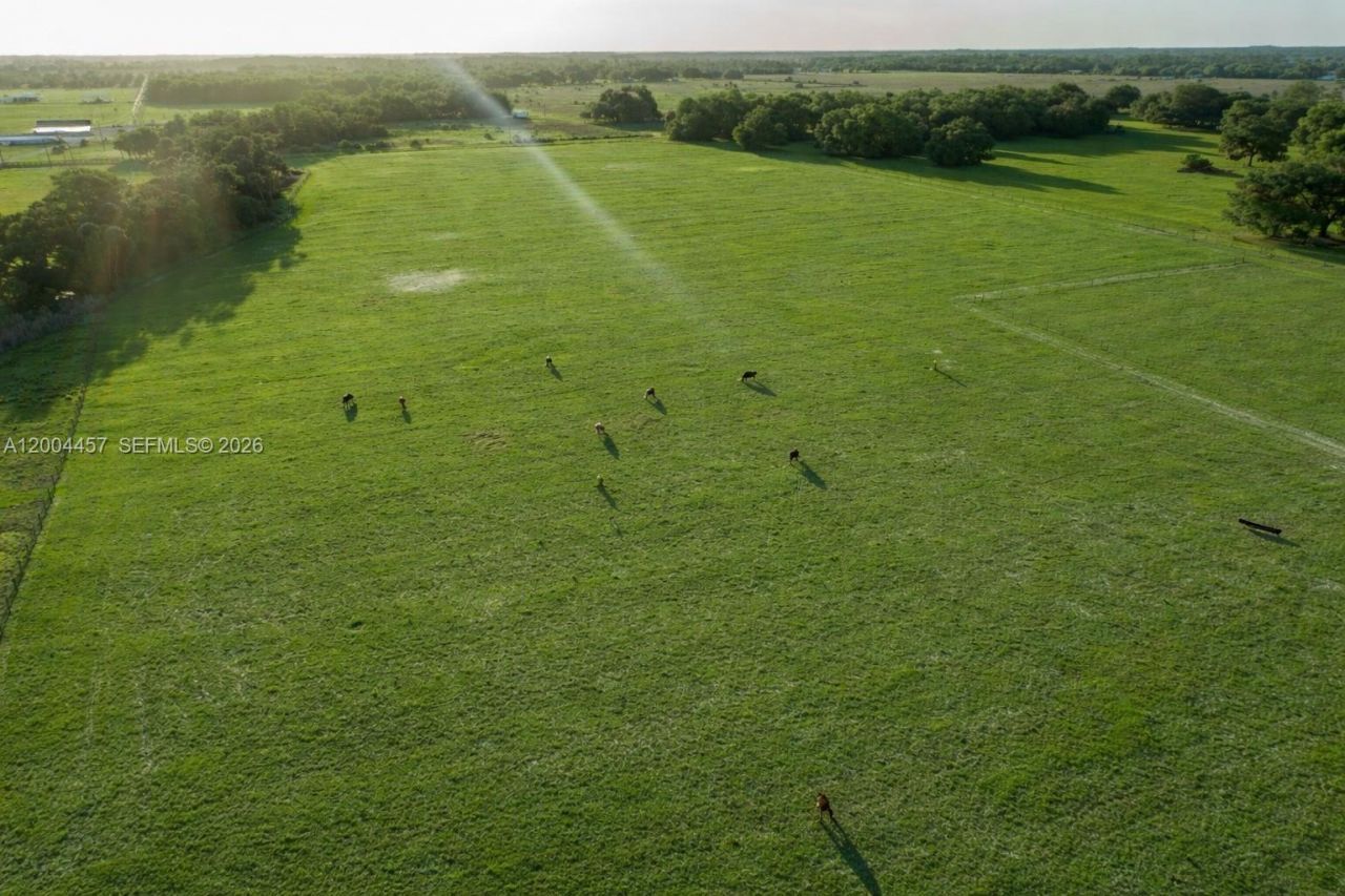 595 Norris Rd , La Belle, FL 33935 Photo