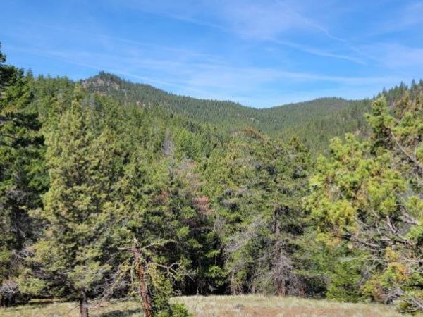 1315 NE Lofton Creek Road, Prineville, OR 97754