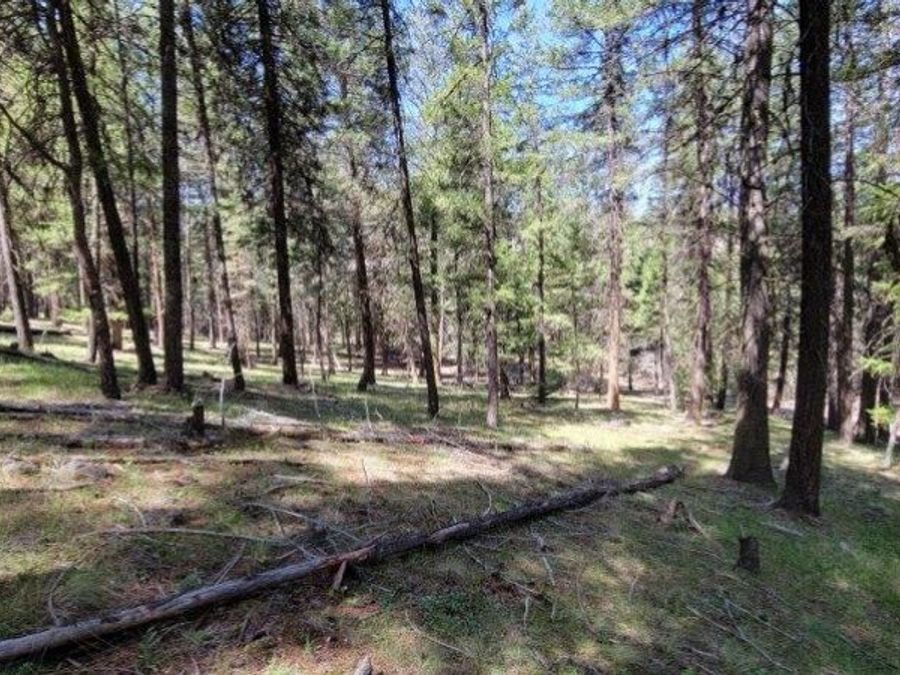 Property Image 60