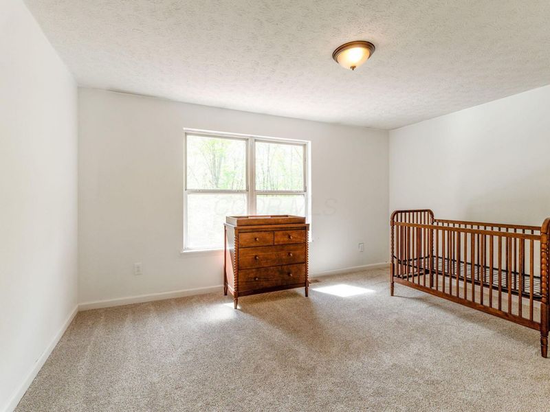 9283 Downing Road, Johnstown, OH 43031 Photo 22