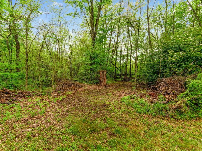 9283 Downing Road , Johnstown, OH 43031 Photo 38