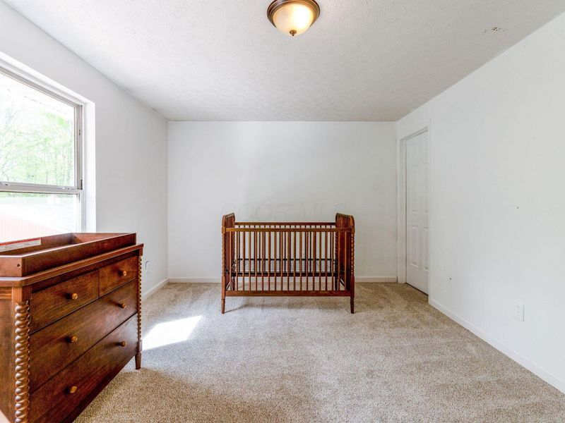 9283 Downing Road , Johnstown, OH 43031 Photo 75