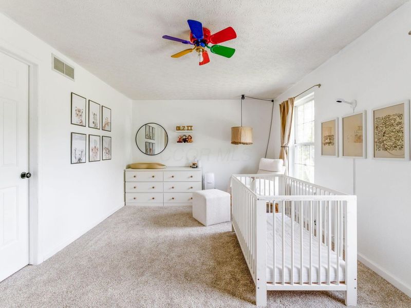 9283 Downing Road , Johnstown, OH 43031 Photo 78