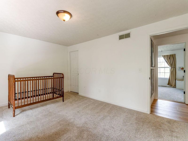 9283 Downing Road, Johnstown, OH 43031 Photo 82