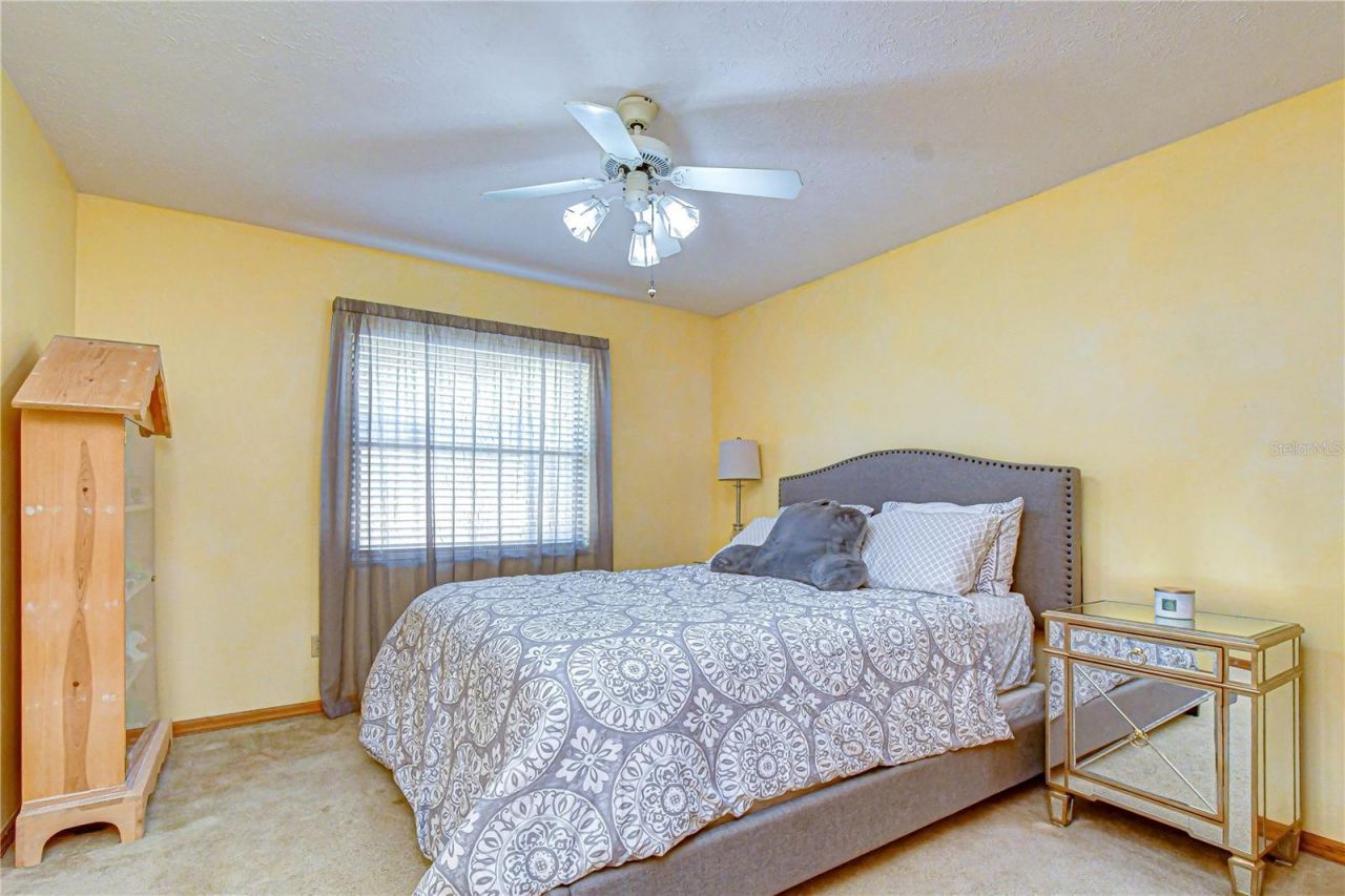 3522 Springville Drive , Valrico, FL 33596 Photo