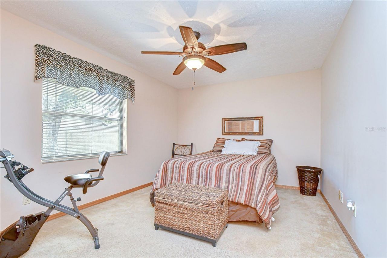 3522 Springville Drive , Valrico, FL 33596 Photo