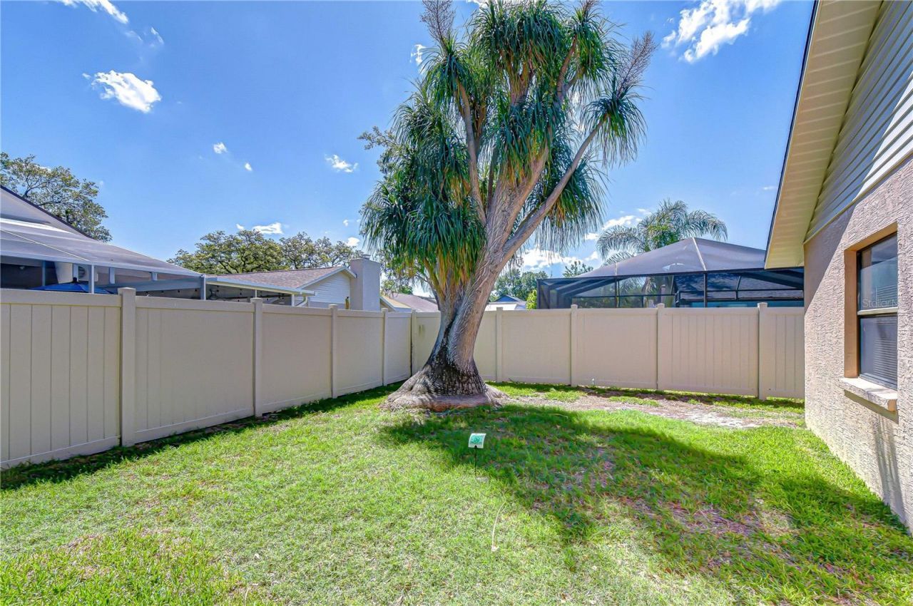 3522 Springville Drive , Valrico, FL 33596 Photo