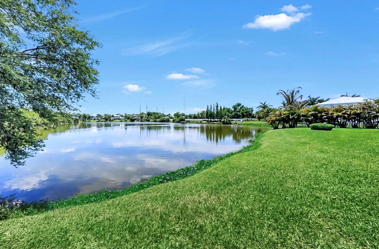 8013 Key West Conch Drive, Riverview, FL 33578 Photo