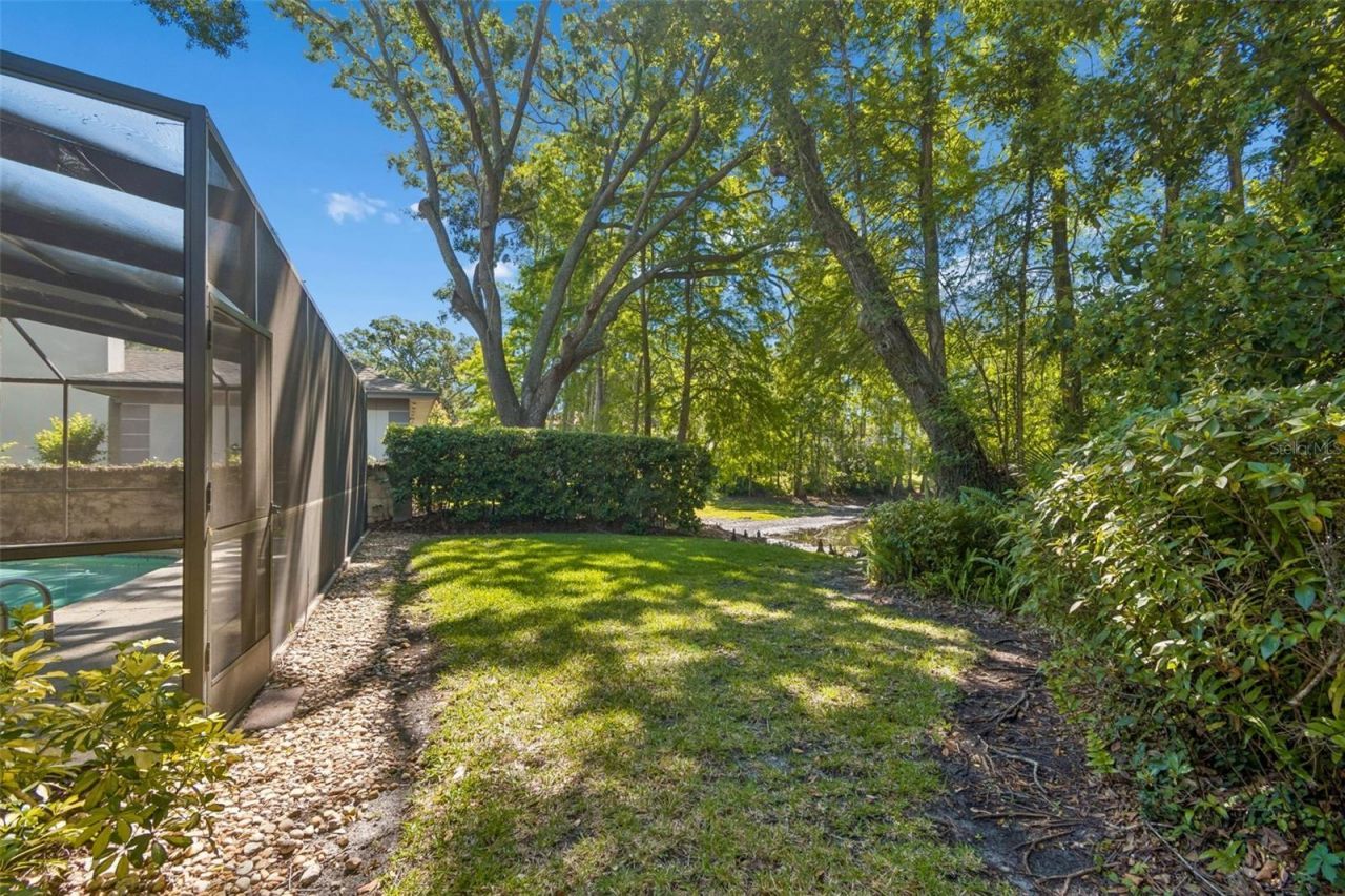 2522 Cozumel Drive, Tampa, FL 33618 Photo