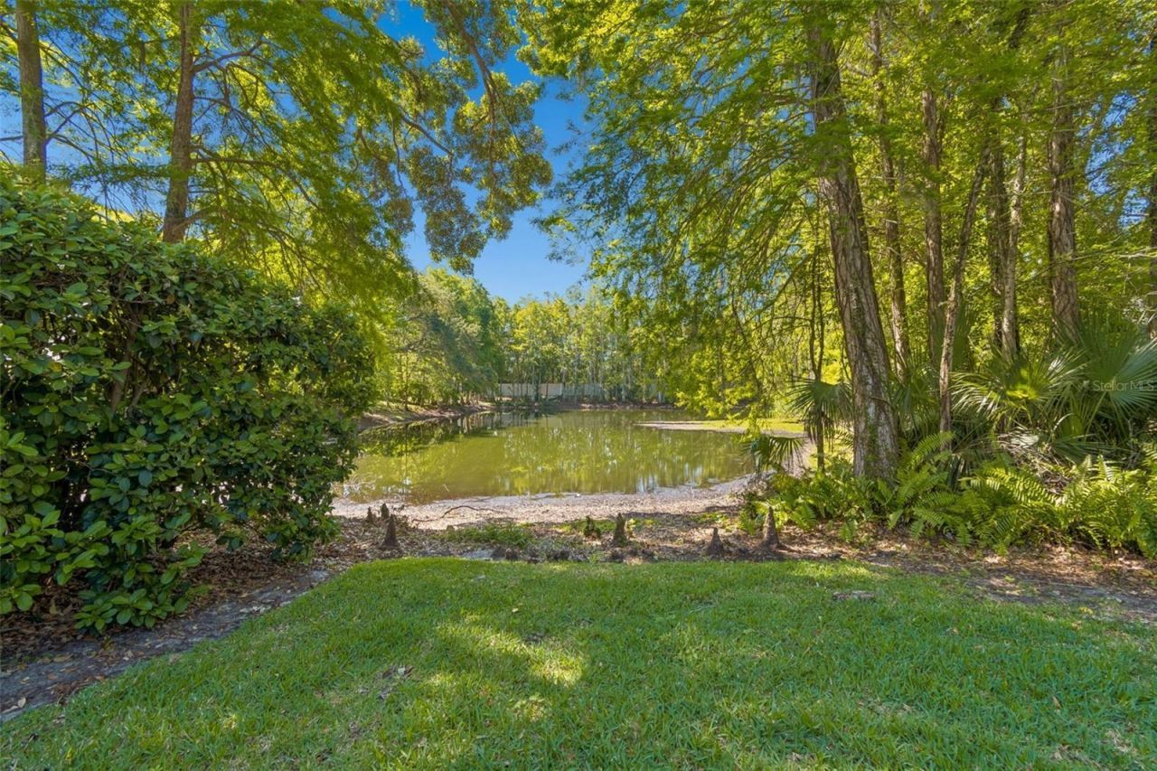2522 Cozumel Drive, Tampa, FL 33618 Photo