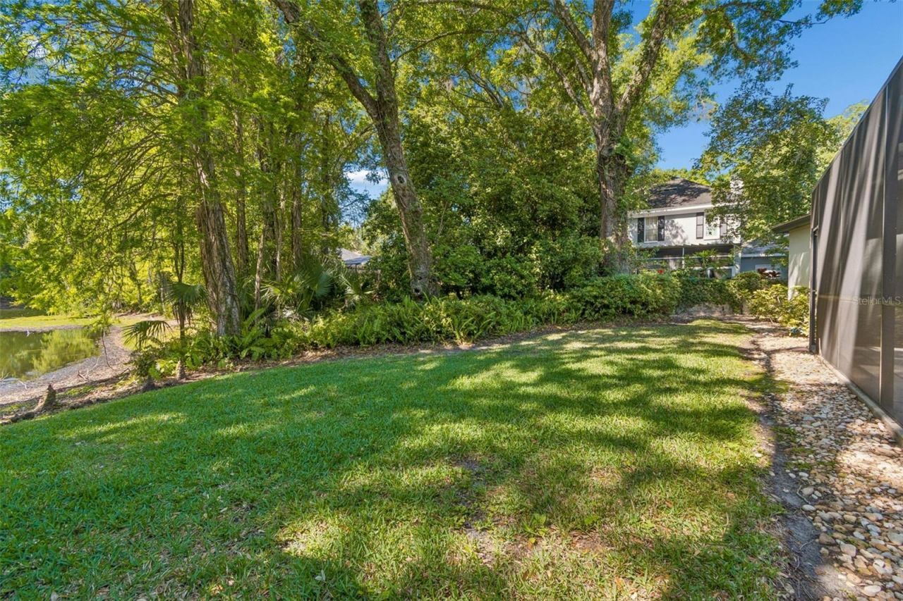 2522 Cozumel Drive, Tampa, FL 33618 Photo