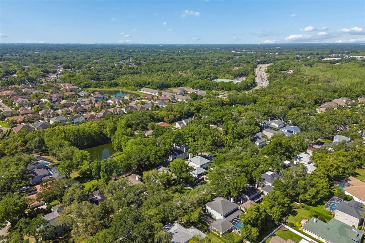 2522 Cozumel Drive, Tampa, FL 33618 Photo