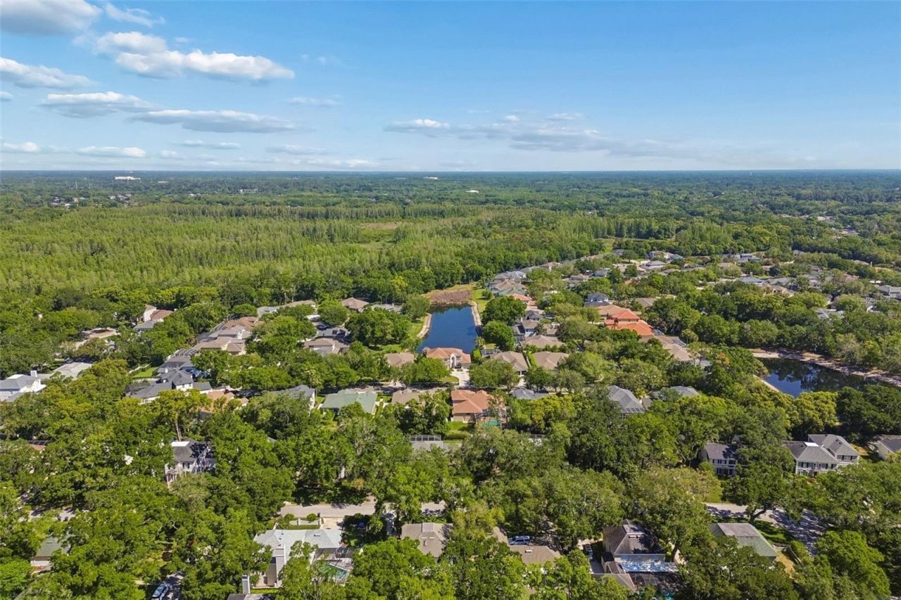 2522 Cozumel Drive, Tampa, FL 33618 Photo
