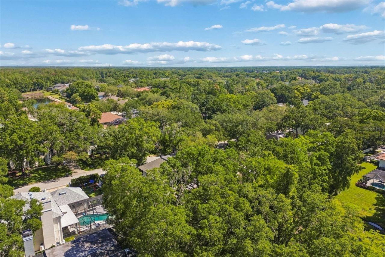 2522 Cozumel Drive, Tampa, FL 33618 Photo