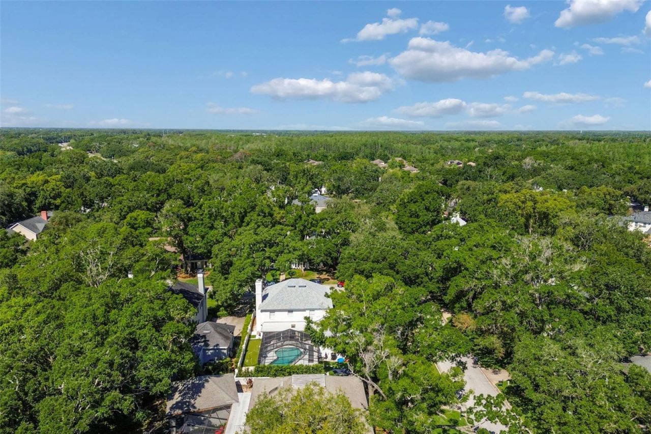 2522 Cozumel Drive, Tampa, FL 33618 Photo