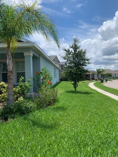 14072 Gold Bridge Drive , Orlando, FL 32824 Photo