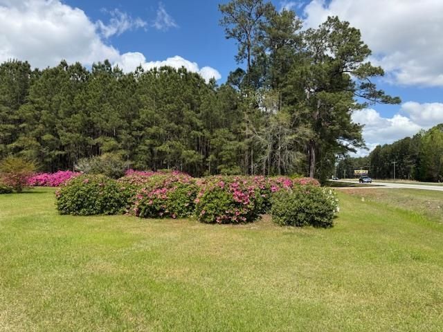 3745 Highway 501  Photo 5