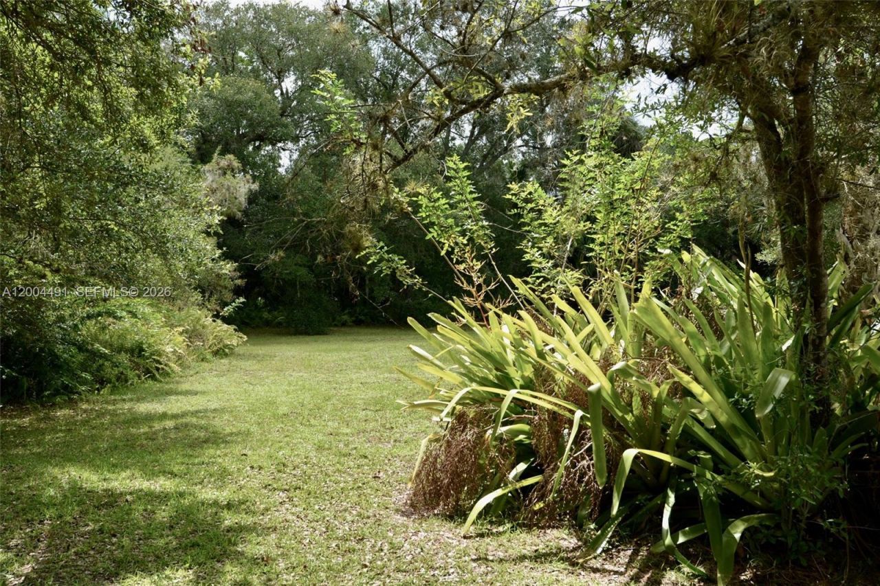 18220 Elmwood, Alva, FL 33920 Photo