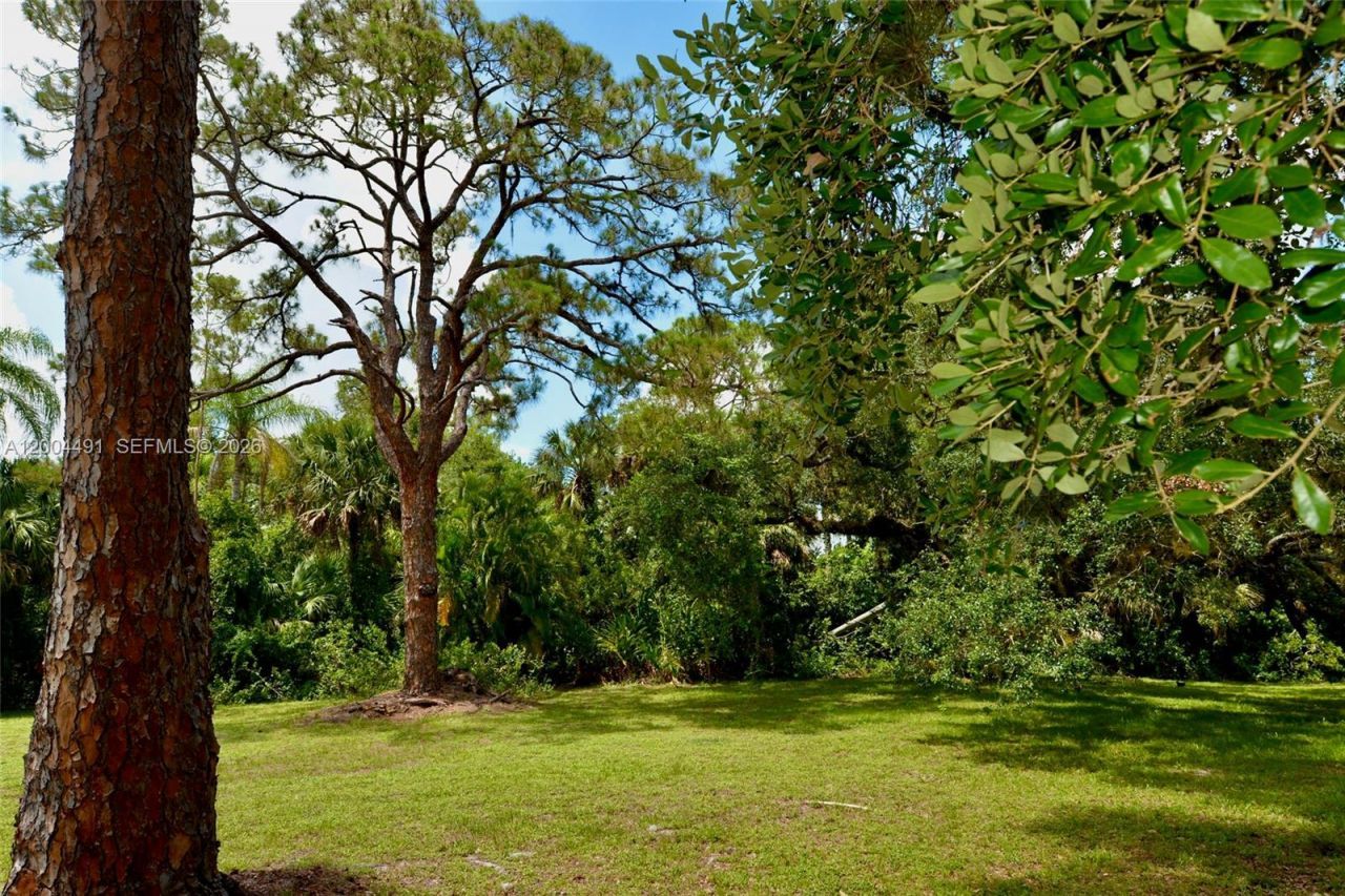 18220 Elmwood, Alva, FL 33920 Photo