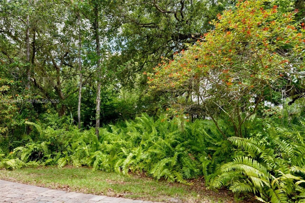 18220 Elmwood, Alva, FL 33920 Photo