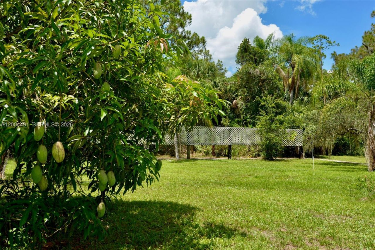 18220 Elmwood, Alva, FL 33920 Photo