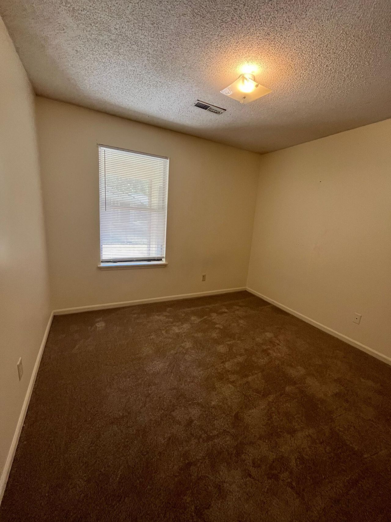 101 Freehold Circle Photo 7