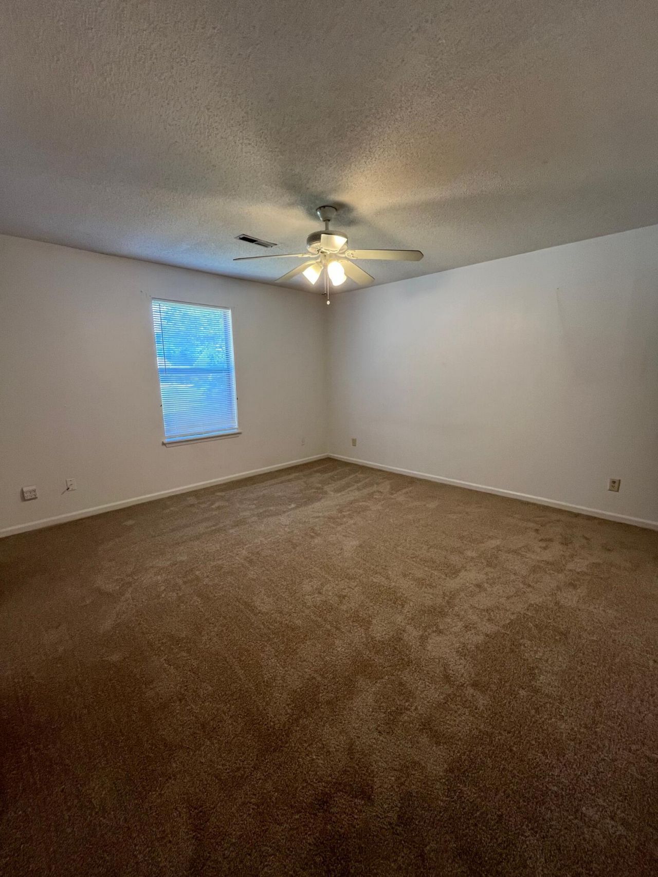 101 Freehold Circle Photo 9