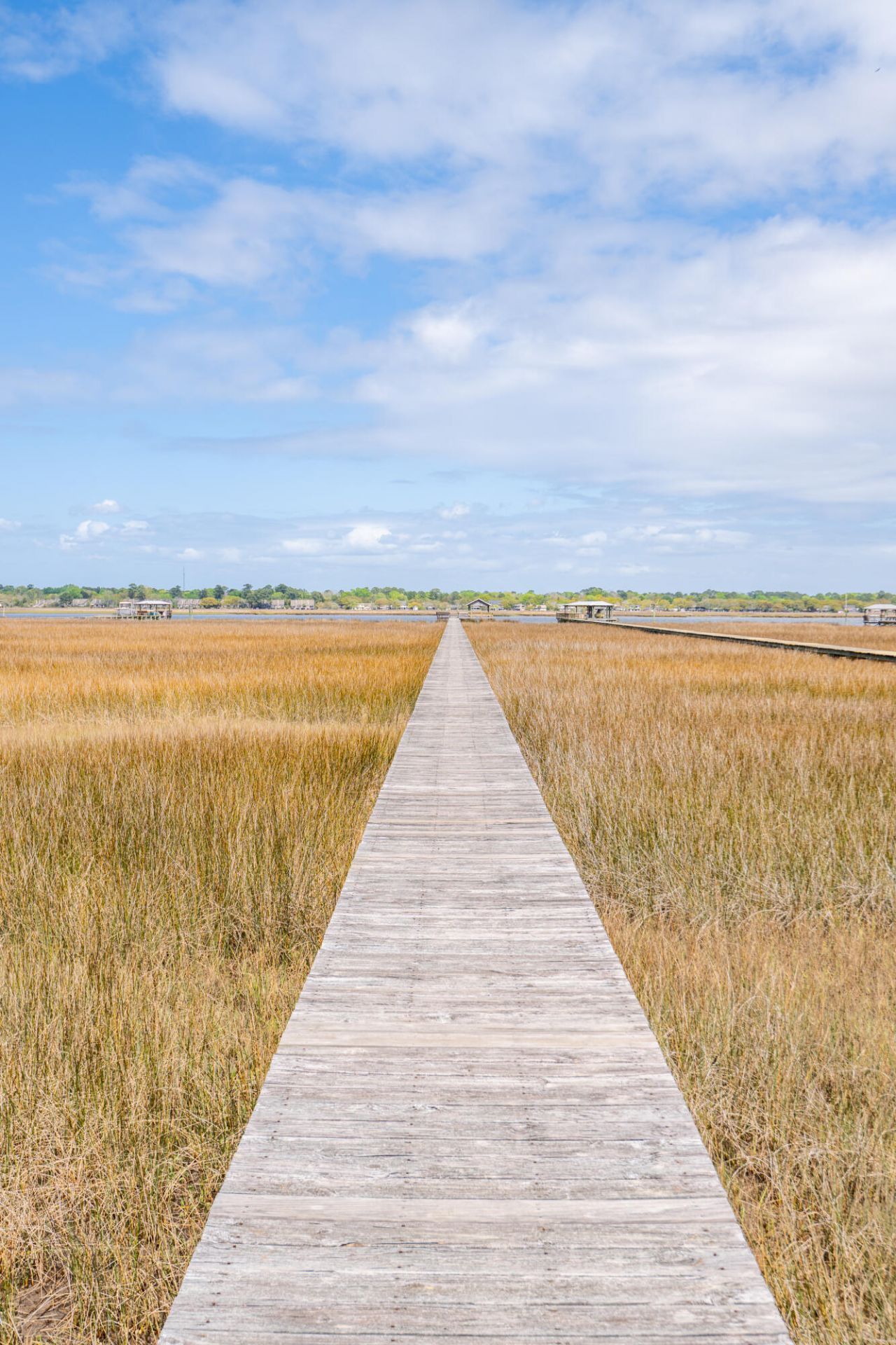 1368 Headquarters Plantation Drive Photo 51