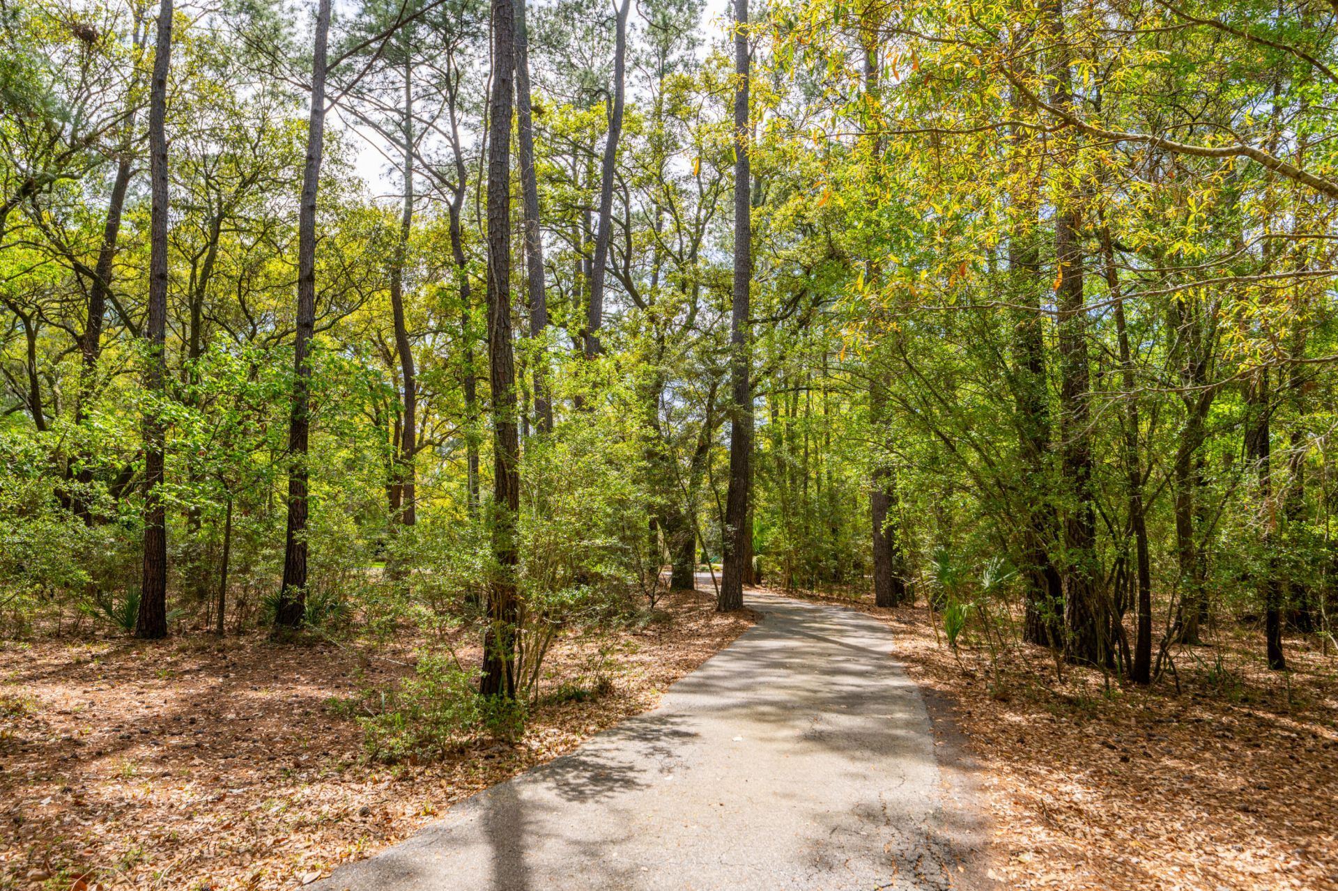 1368 Headquarters Plantation Drive Photo 7