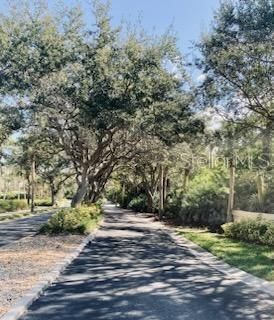 250 Minorca Beach Way, Unit 203, New Smyrna Beach, FL 32169 Photo