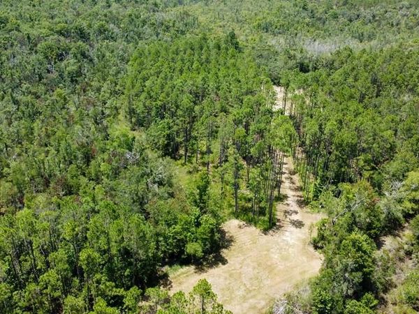 SW 844th St, Steinhatchee, FL 32359