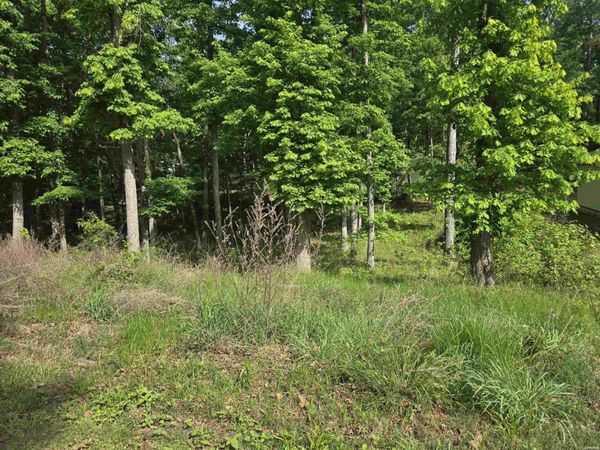 Lot 1397 STONEBRIAR, Hot Springs, AR