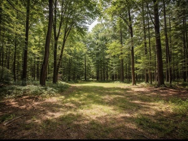 0 Cotton Gin Rd, Russellville, AL 35653