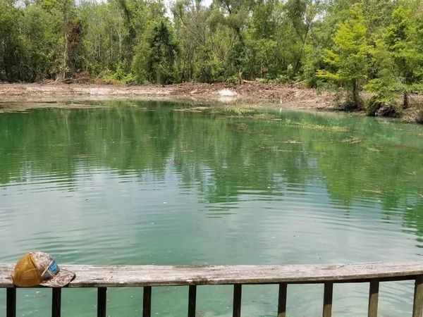 128 Acres In Palmetto , Palmetto, LA 71358