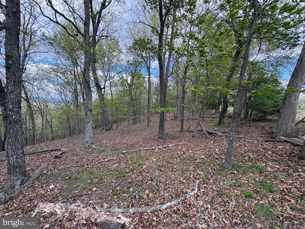10 AC MOON RIDGE LANE, BURLINGTON, WV 26710